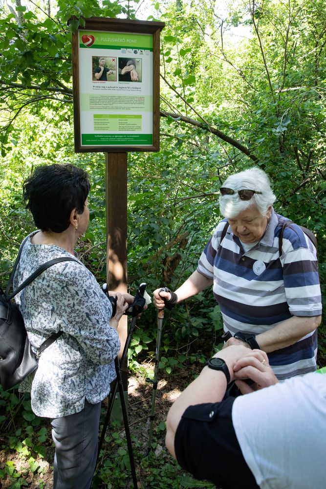 Törökbálinton is a szív- és érrendszeri halálozás ellen