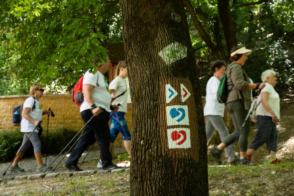 Törökbálinton is a szív- és érrendszeri halálozás ellen