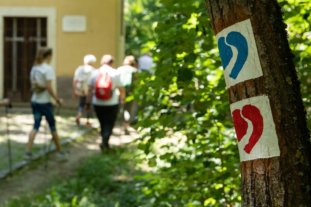 Törökbálinton is a szív- és érrendszeri halálozás ellen