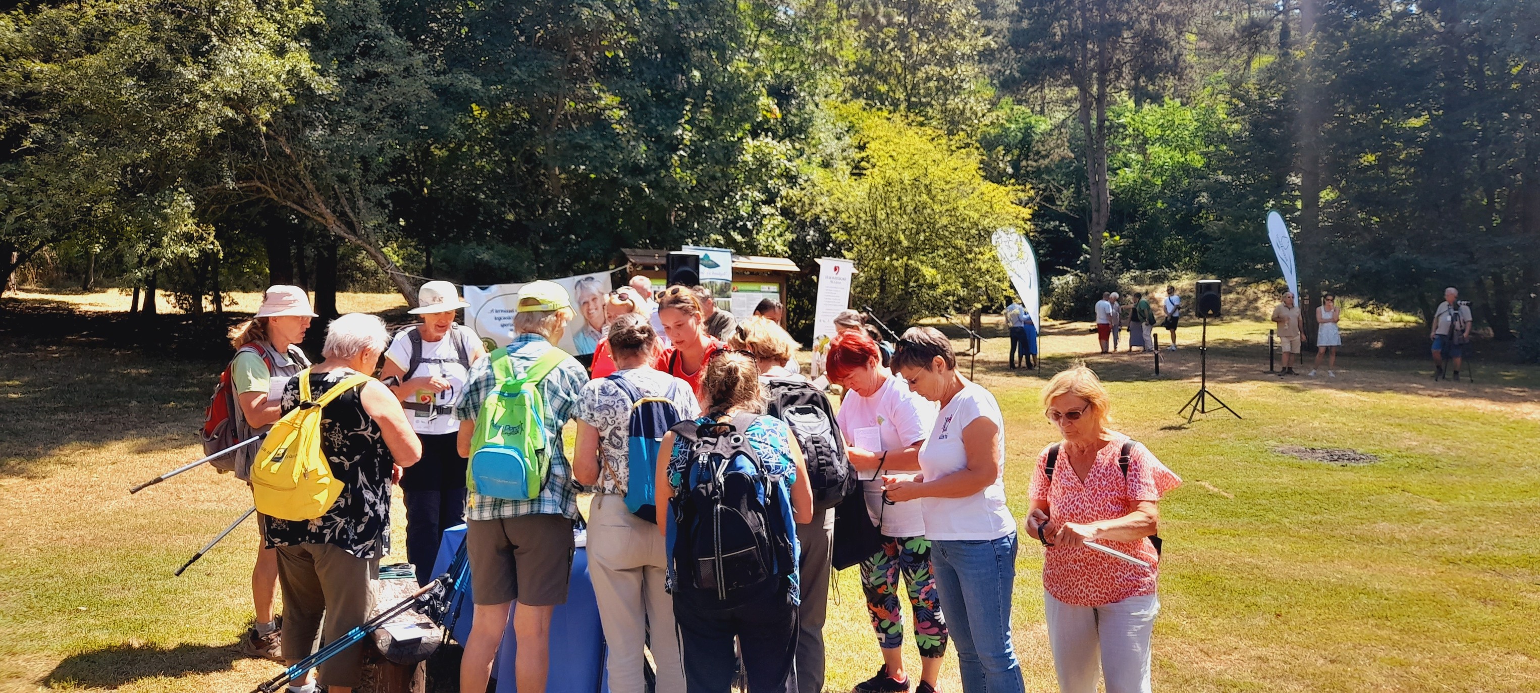 Balatonparti pulzusmérés