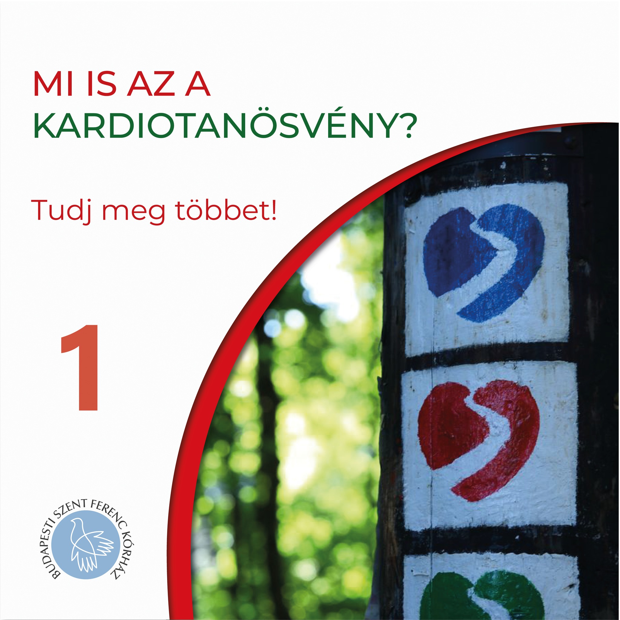 Mi is az a kardiotanösvény?